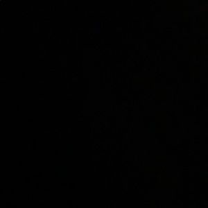 Meet your Posher, Cody